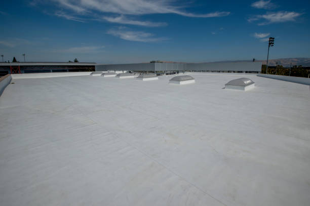 Best Solar Panel Roofing Installation  in Elsmere, KY